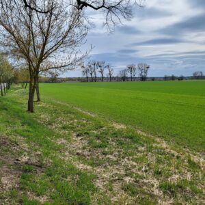 16348 Marienwerder - Acker in bester Lage