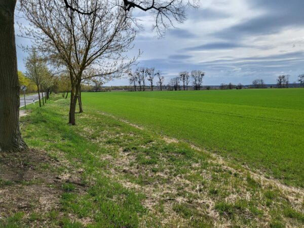 16348 Marienwerder - Acker in bester Lage
